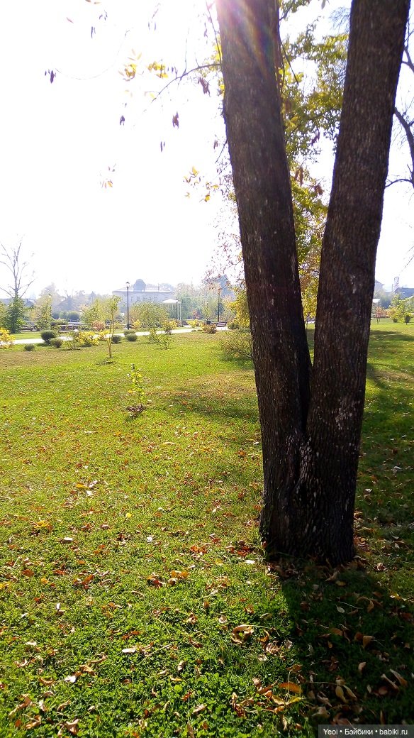 Прогулка в парке, солнечный денек (фото 9)