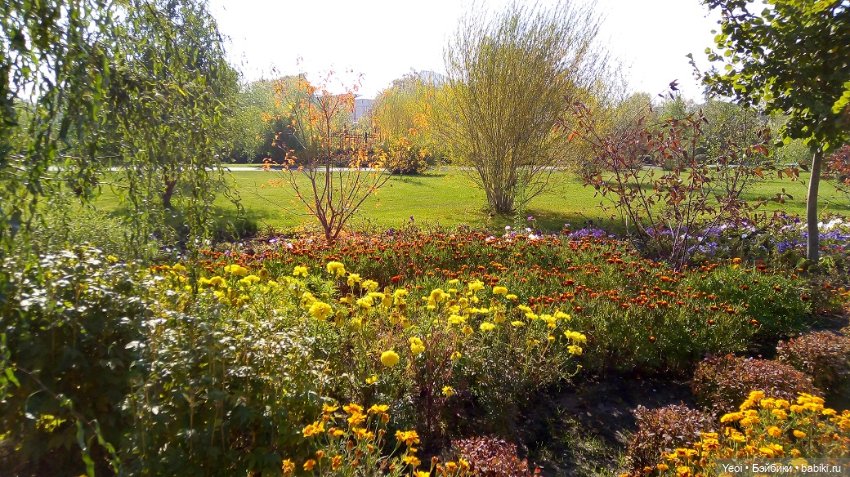 Прогулка в парке, солнечный денек (фото 3)