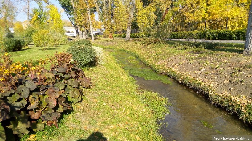 Прогулка в парке, солнечный денек (фото 7)