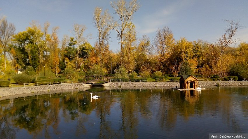 Прогулка в парке, солнечный денек (фото 4)