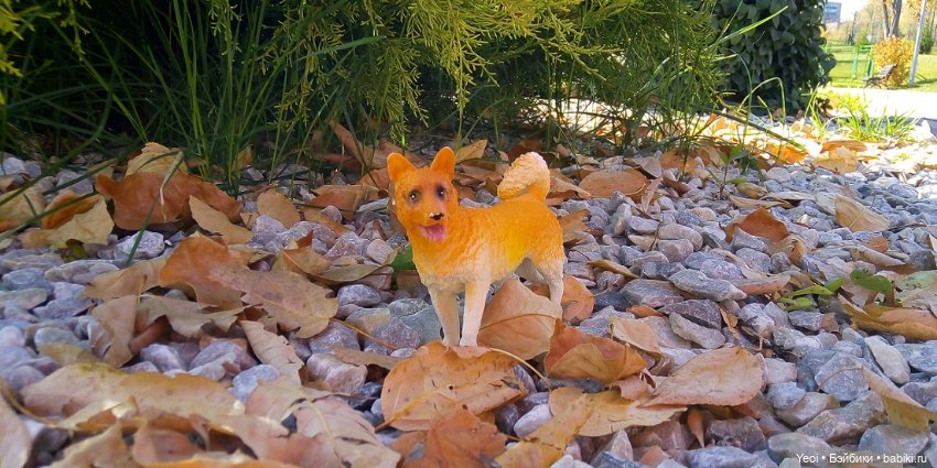 Прогулка в парке, солнечный денек