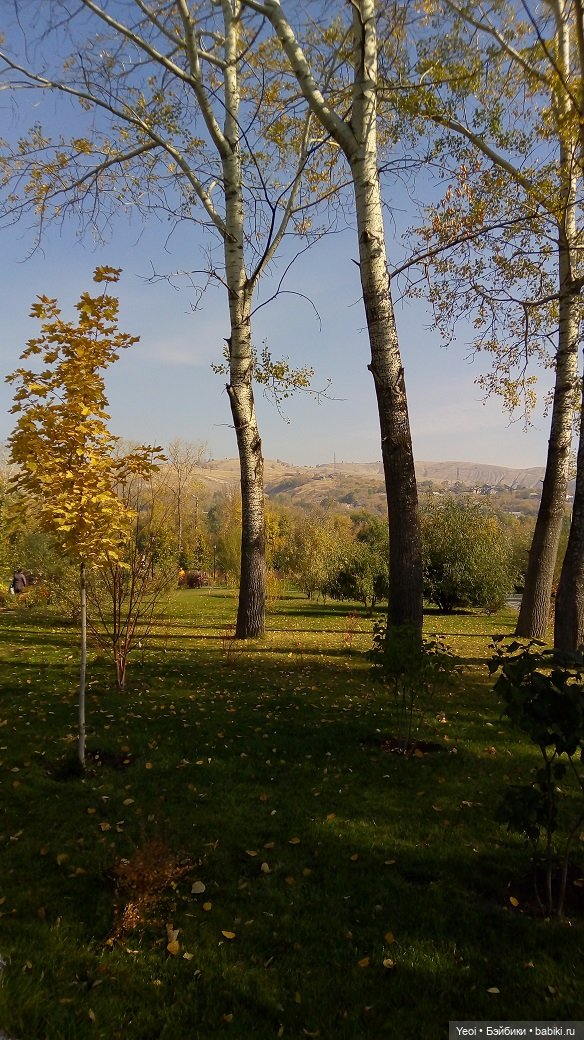 Прогулка в парке, солнечный денек