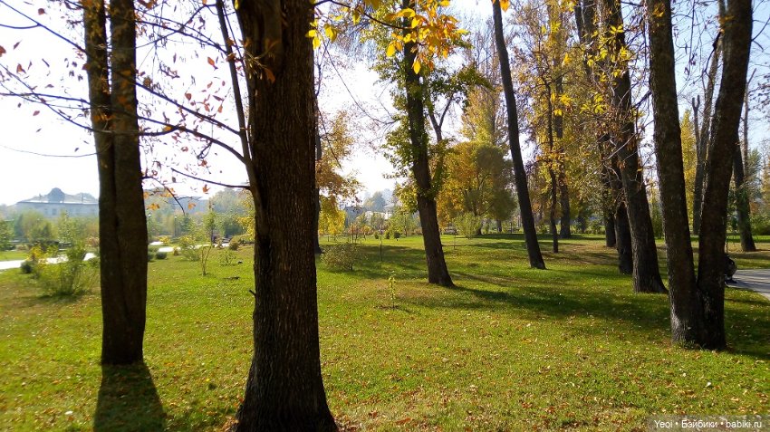 Прогулка в парке, солнечный денек (фото 8)