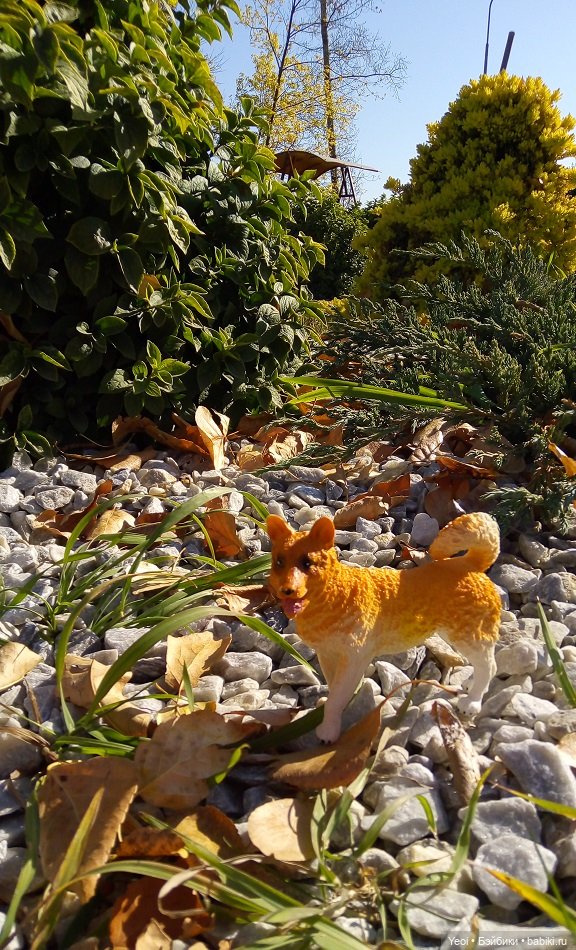 Прогулка в парке, солнечный денек