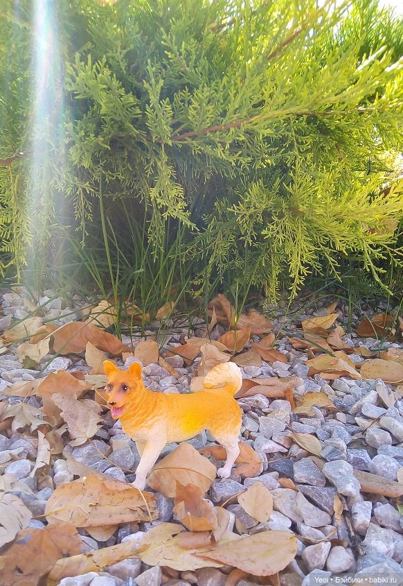 Прогулка в парке, солнечный денек