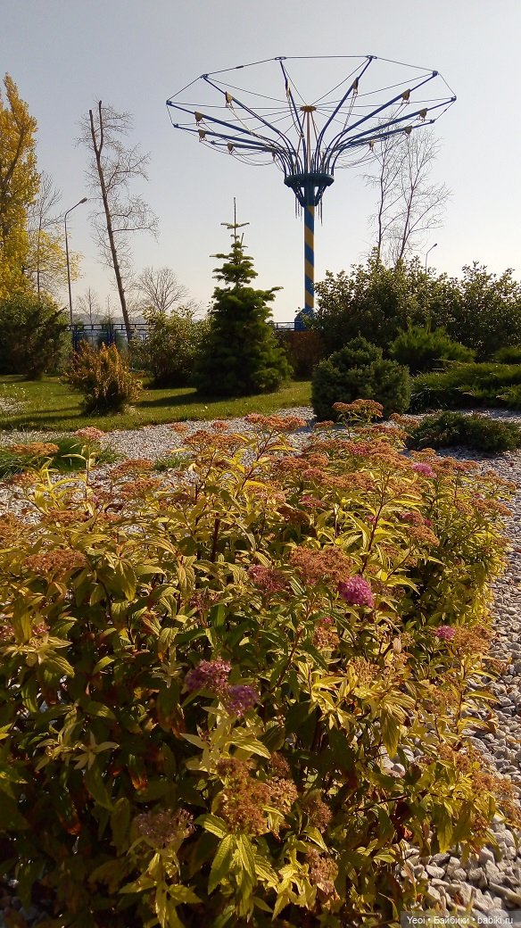 Прогулка в парке, солнечный денек