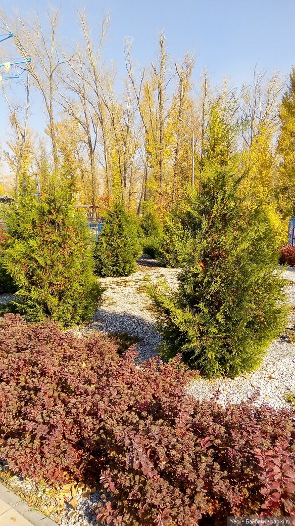 Прогулка в парке, солнечный денек