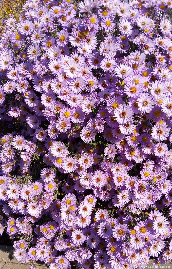 Прогулка в парке, солнечный денек