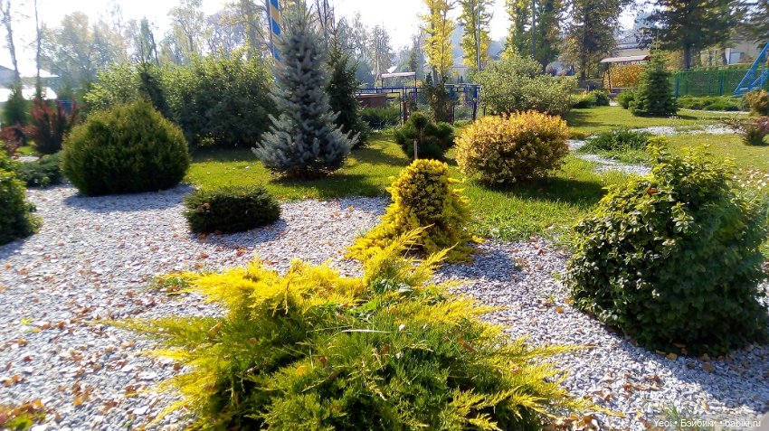 Прогулка в парке, солнечный денек (фото 10)