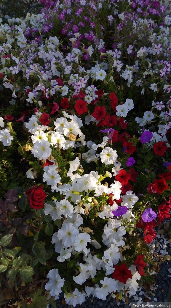 Прогулка в парке, солнечный денек