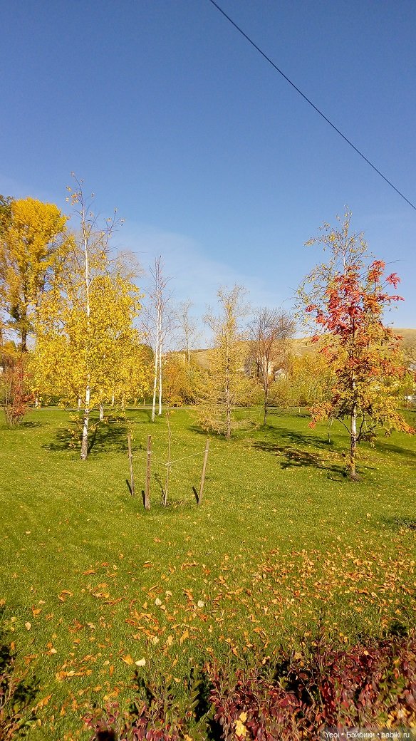 Прогулка в парке, солнечный денек