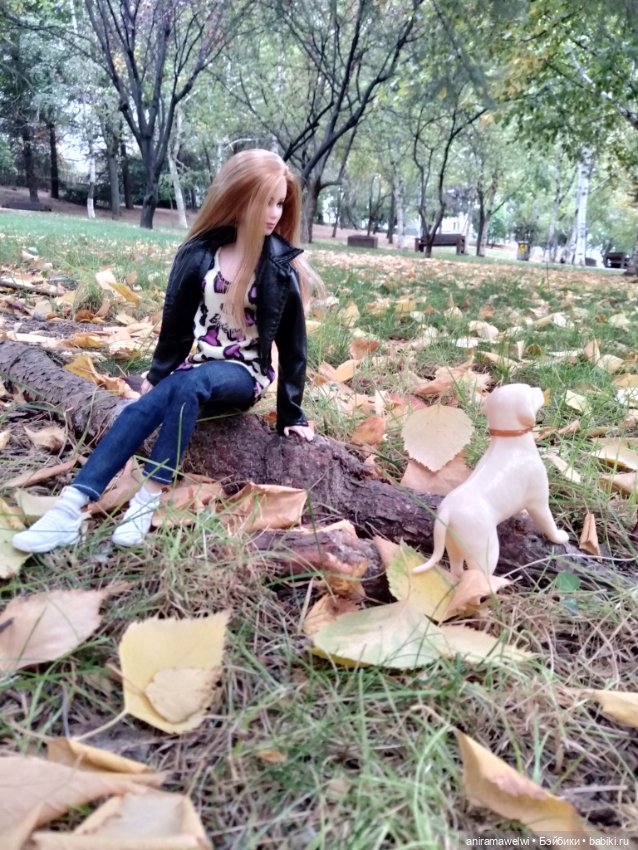 Эльза и Чапа встречают осень (фото 10)