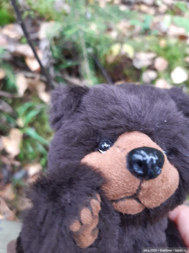 Моя семья и другие звери — Авторские мишки Тедди и друзья: фото (фото 3)