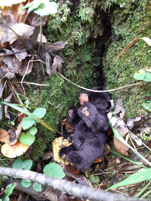 Моя семья и другие звери — Авторские мишки Тедди и друзья: фото (фото 8)