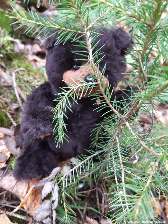 Моя семья и другие звери — Авторские мишки Тедди и друзья: фото (фото 2)