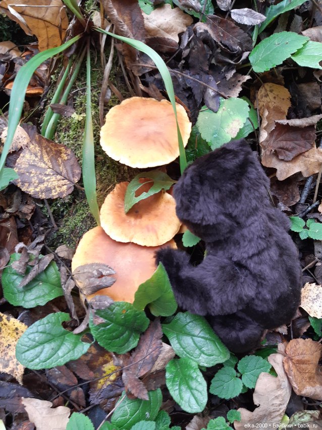 Моя семья и другие звери — Авторские мишки Тедди и друзья: фото (фото 7)