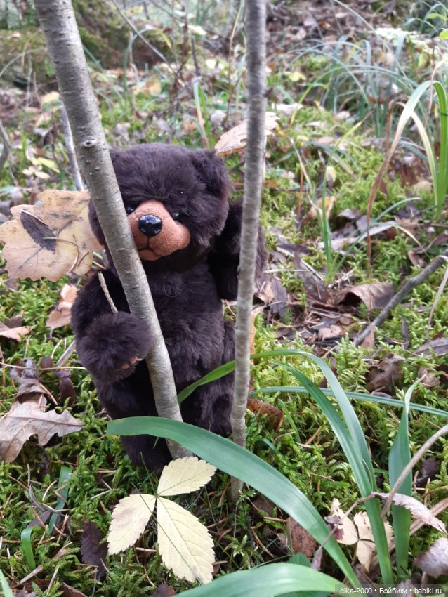 Моя семья и другие звери — Авторские мишки Тедди и друзья: фото