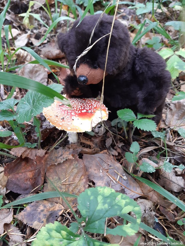 Моя семья и другие звери — Авторские мишки Тедди и друзья: фото (фото 4)