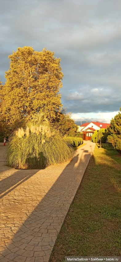 Воспоминания о юге — Куклы Sasha Morgenthaler (Саша Моргенталер): Trendon