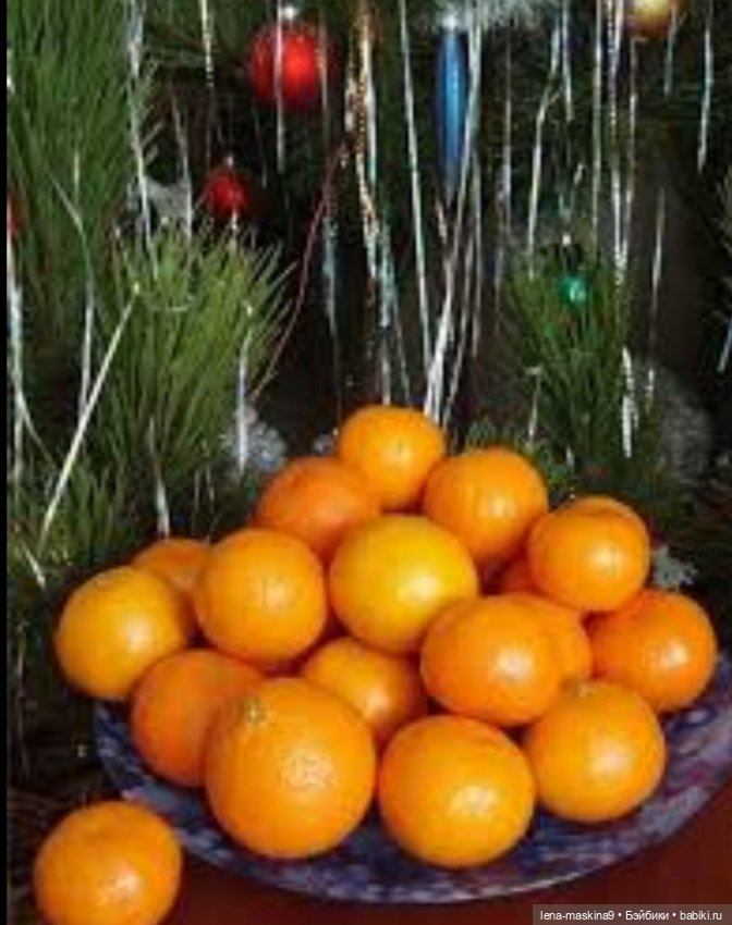 В лесу родилась ёлочка. Новый год - Назад в прошлое