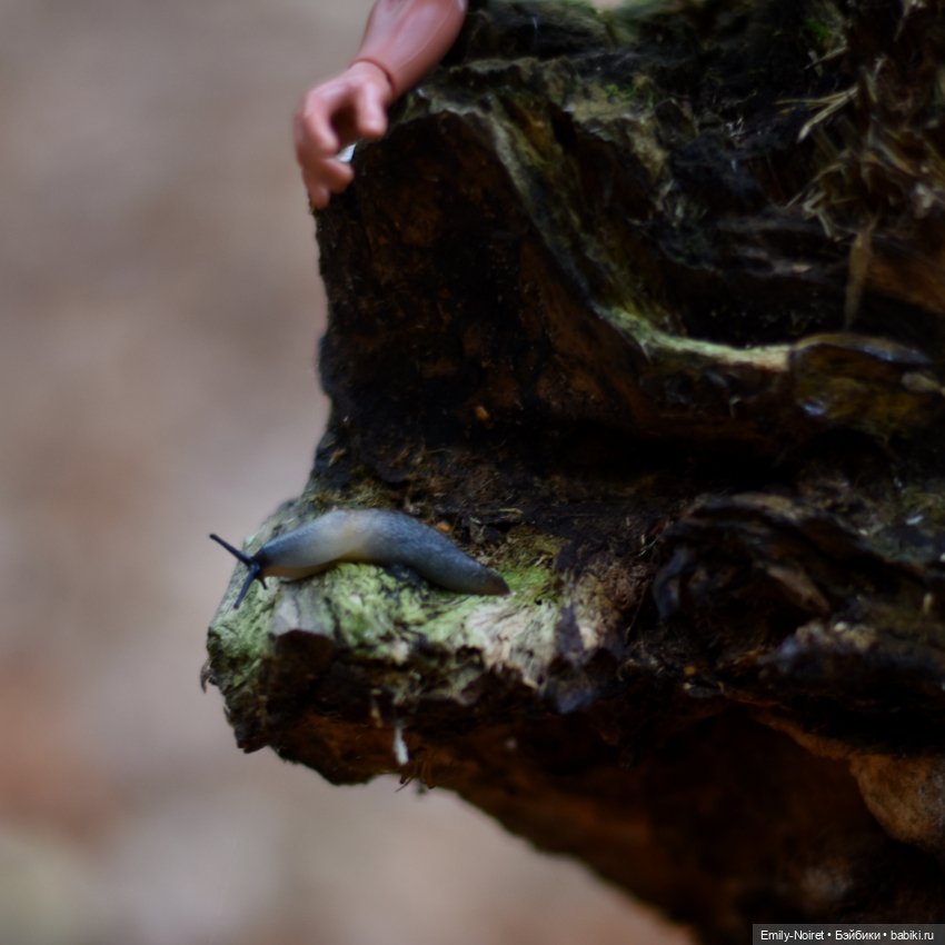 Охота с динозаврами — Куклы Monster High и Ever After High: G1 (фото 5)