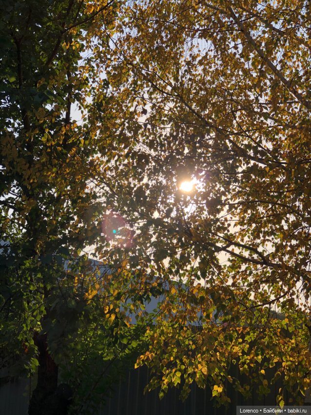 Краски осени — Красивая природа и цветы: фото пейзажей