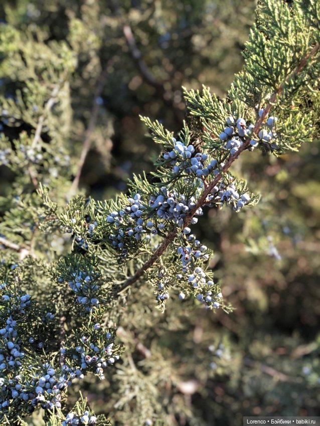 Краски осени — Красивая природа и цветы: фото пейзажей