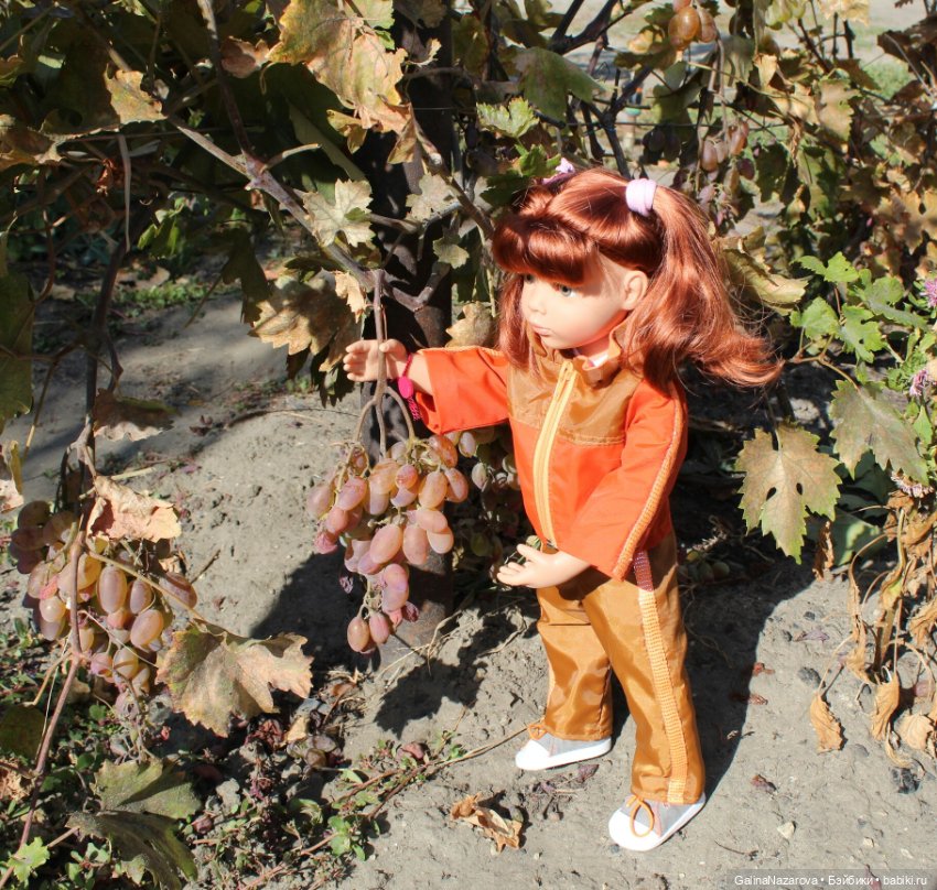 Мы съездили на дачу — Болталка и разговоры обо всем: жизнь