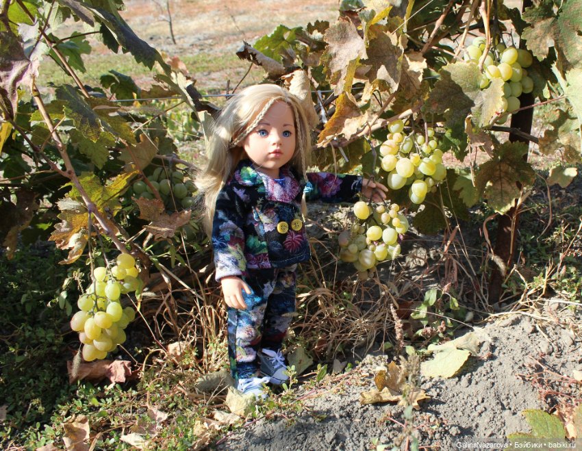 Мы съездили на дачу — Болталка и разговоры обо всем: жизнь (фото 10)