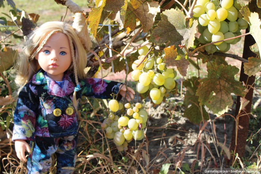 Мы съездили на дачу — Болталка и разговоры обо всем: жизнь