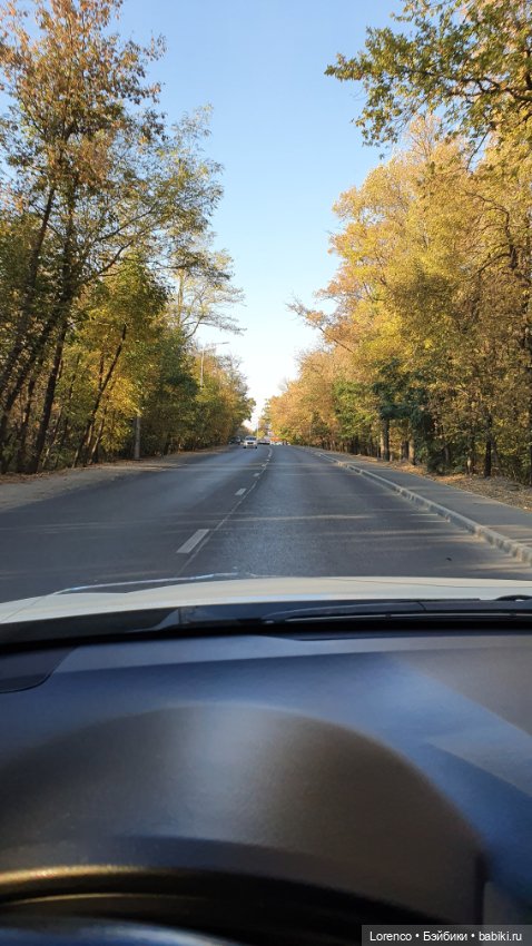 Краски осени — Красивая природа и цветы: фото пейзажей