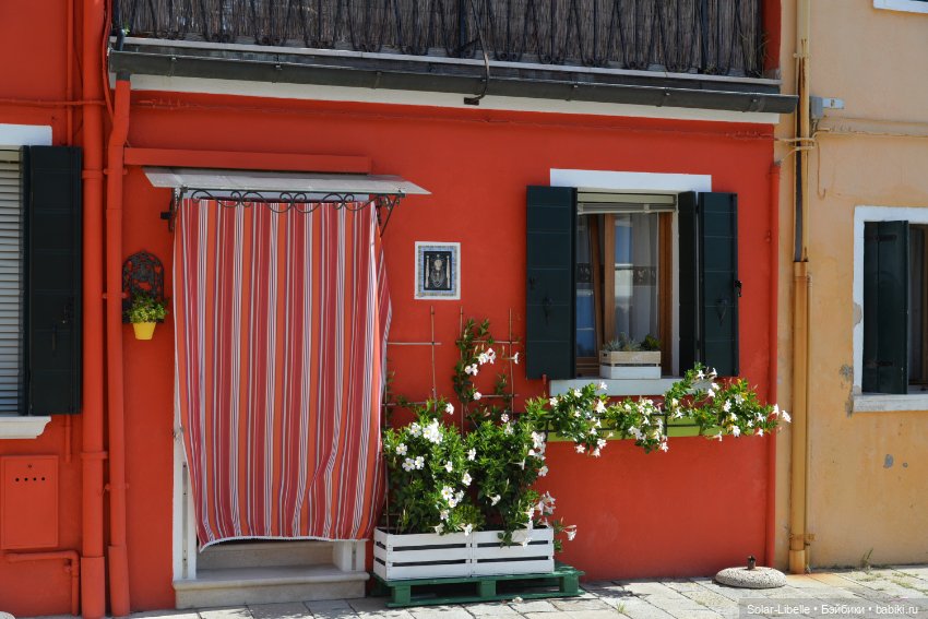 Моя прекрасная Италия. Венецианская Лагуна. Бурано. часть вторая (фото 10)