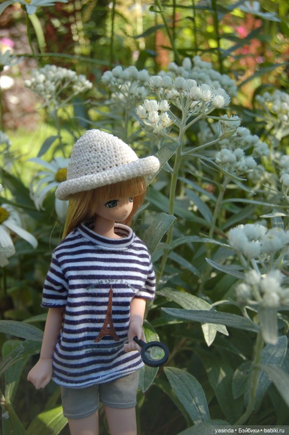 Мои куклы Azone — Куклы Azone (Азон) и тела Pure Neemo: фото