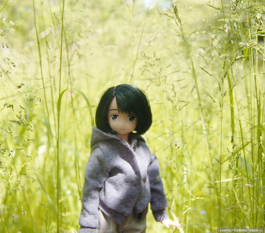 Мои куклы Azone — Куклы Azone (Азон) и тела Pure Neemo: фото (фото 9)