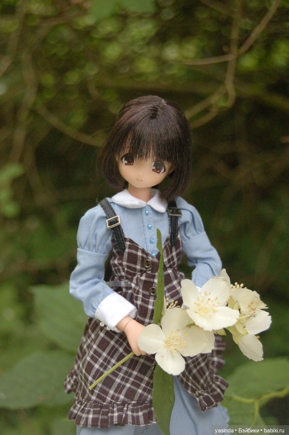 Мои куклы Azone — Куклы Azone (Азон) и тела Pure Neemo: фото