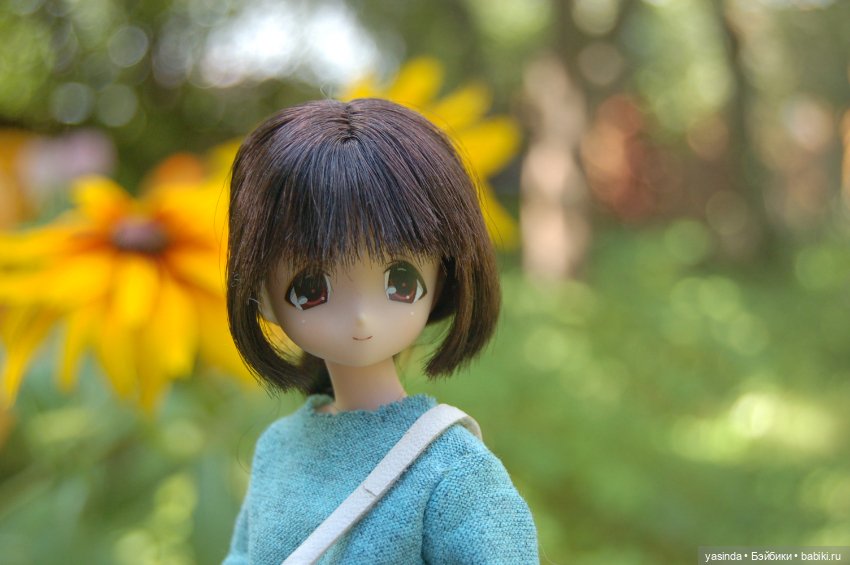 Мои куклы Azone — Куклы Azone (Азон) и тела Pure Neemo: фото