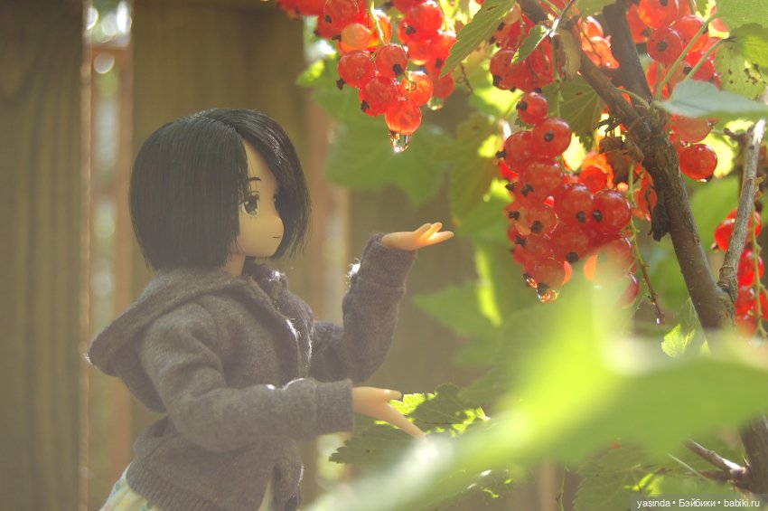 Мои куклы Azone — Куклы Azone (Азон) и тела Pure Neemo: фото