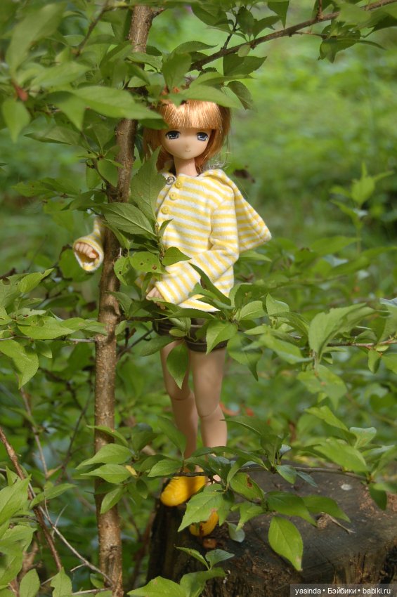 Мои куклы Azone — Куклы Azone (Азон) и тела Pure Neemo: фото
