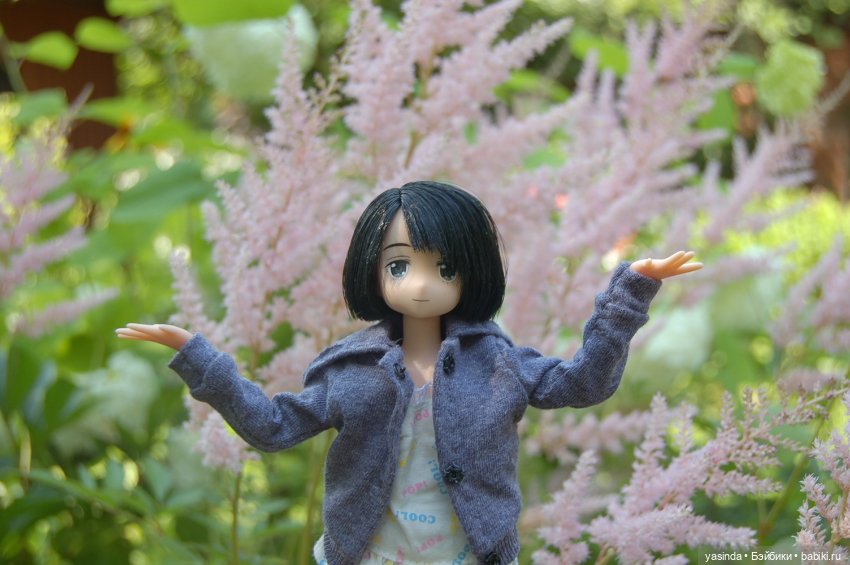 Мои куклы Azone — Куклы Azone (Азон) и тела Pure Neemo: фото