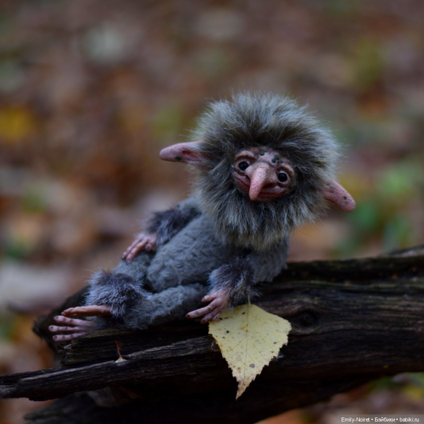 В естественной среде обитания (фото 5)