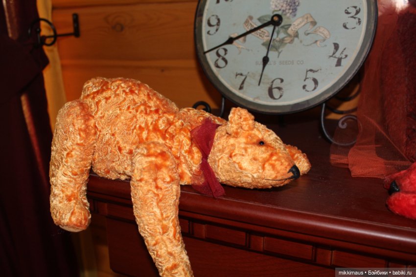 Полярные медведи бывают разными