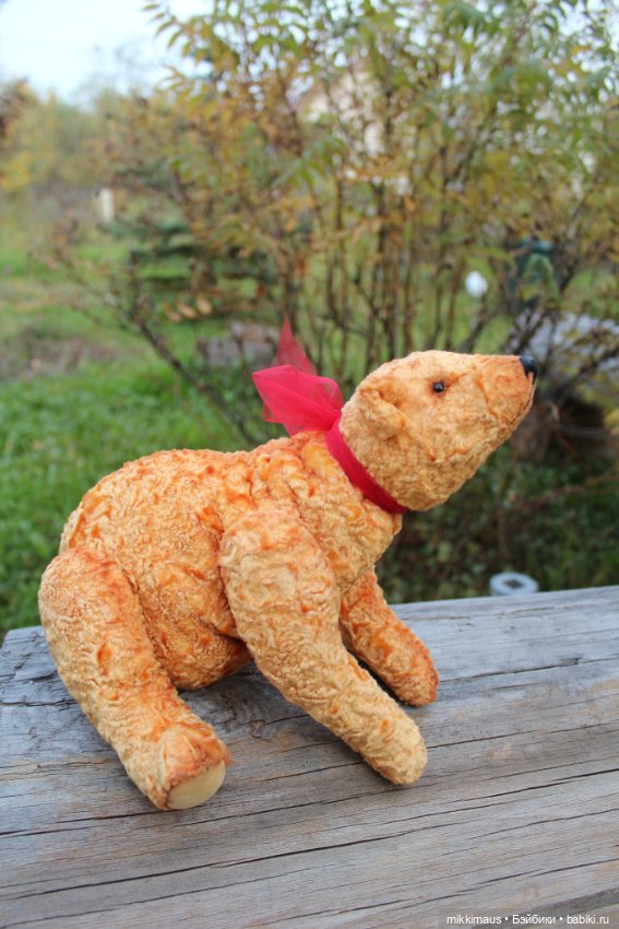 Полярные медведи бывают разными