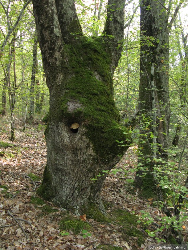 Странствия одиночки — Авторские куклы ручной работы: текстильные