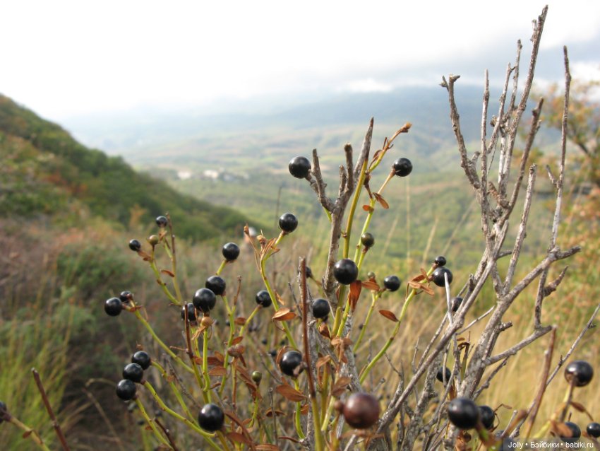 Странствия одиночки — Авторские куклы ручной работы: текстильные (фото 5)