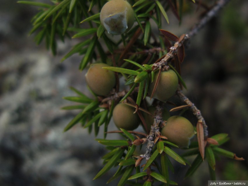 Странствия одиночки — Авторские куклы ручной работы: текстильные (фото 3)