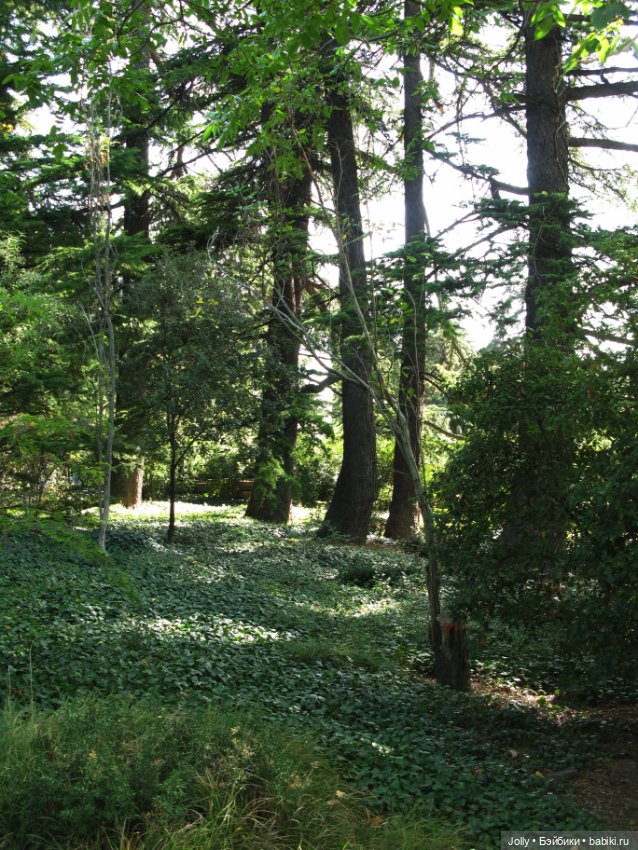 Странствия одиночки — Авторские куклы ручной работы: текстильные