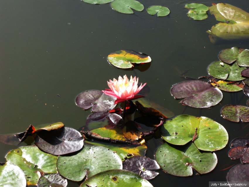 Странствия одиночки — Авторские куклы ручной работы: текстильные