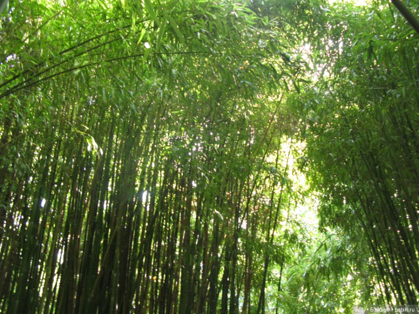 Странствия одиночки — Авторские куклы ручной работы: текстильные