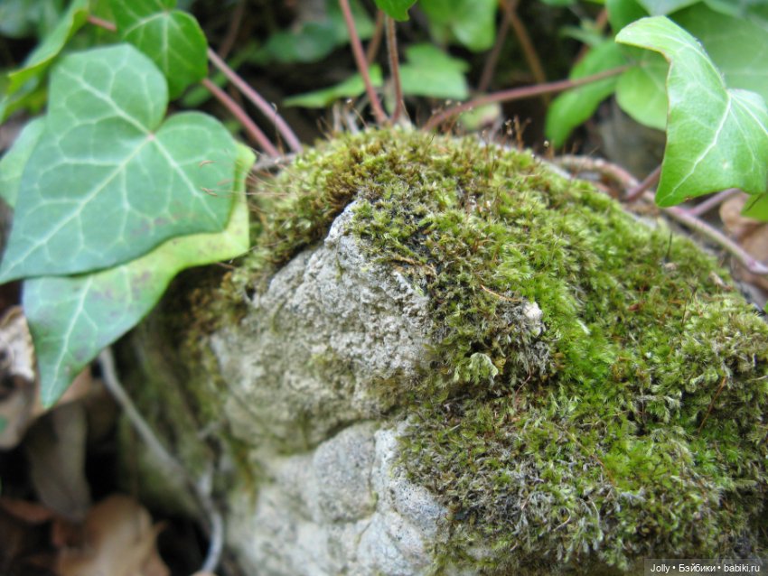 Странствия одиночки — Авторские куклы ручной работы: текстильные