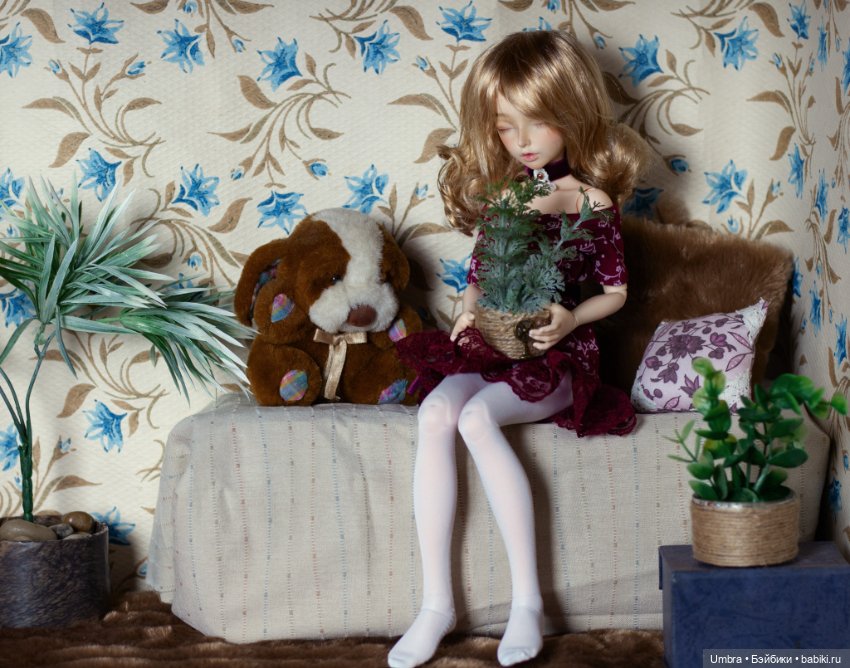 Моя первая БЖД. Минифи Селин